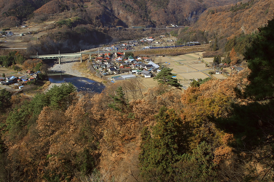 秋が終わった - 2012年初冬・上越線ラストラン - _b0190710_21365647.jpg