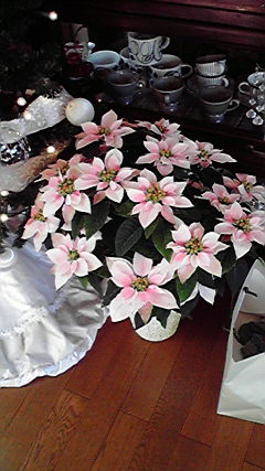 e0228210_941850.jpg