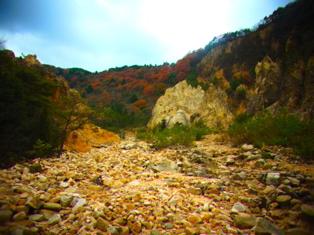 b0183911_11371159.jpg