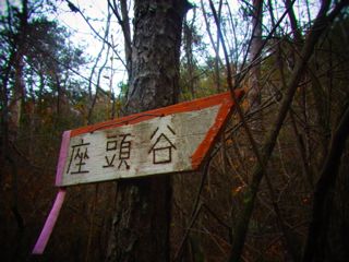 b0183911_11371298.jpg