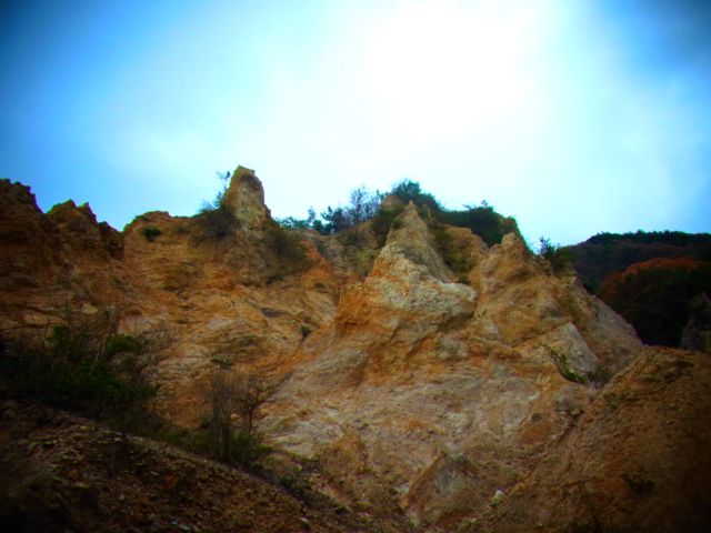 b0183911_1137898.jpg