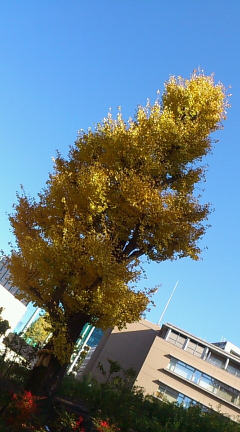 e0165311_01621.jpg