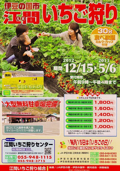 江間のいちご狩りが12/15から始まります。_f0182513_17105553.jpg