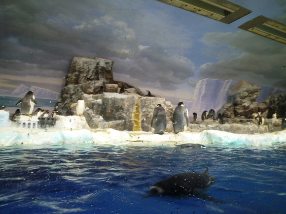 d0170615_9463539.jpg