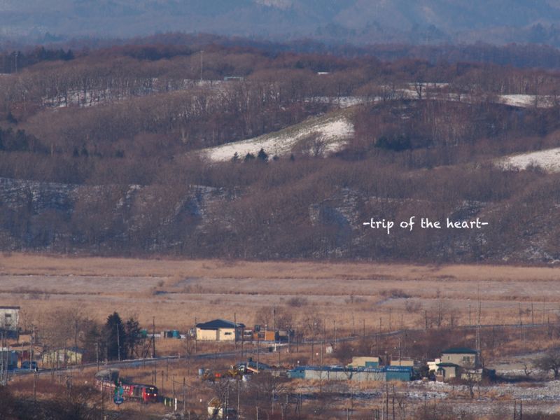b0157018_11485094.jpg