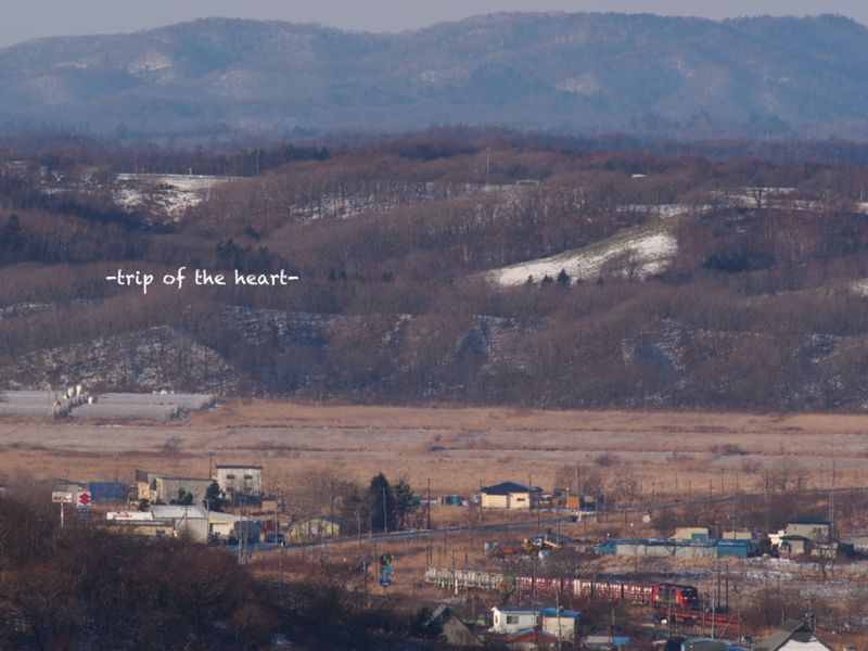 b0157018_1148529.jpg