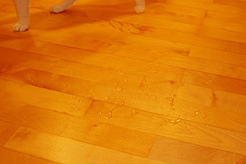 b0259218_3351757.jpg