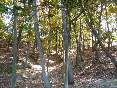 a0157619_22114334.jpg