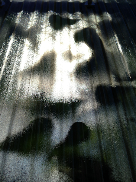 a0237920_11265514.jpg