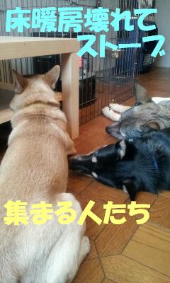 元気で~す_b0207320_21431992.jpg