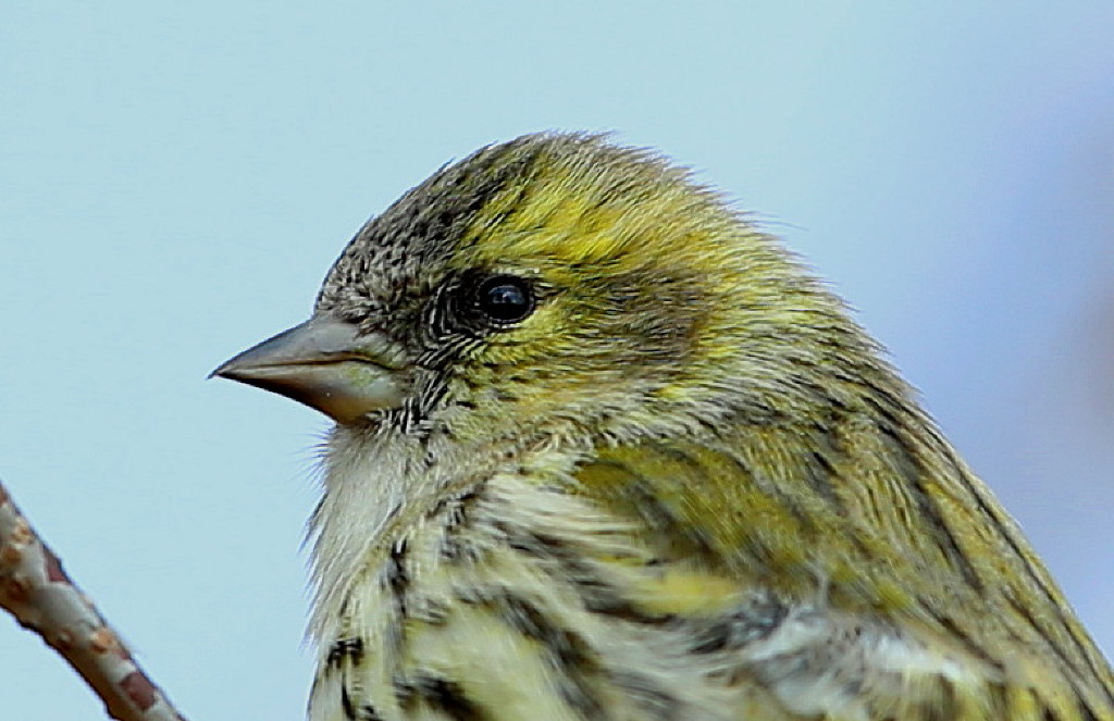 b0179023_209613.jpg