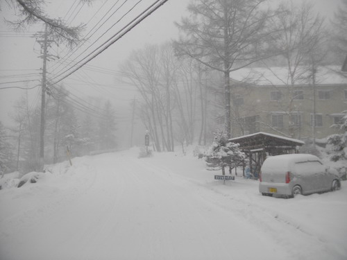 降雪中です_d0102327_1914879.jpg