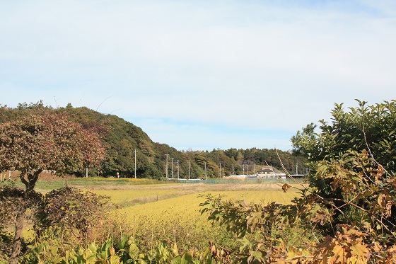 f0225627_1631568.jpg