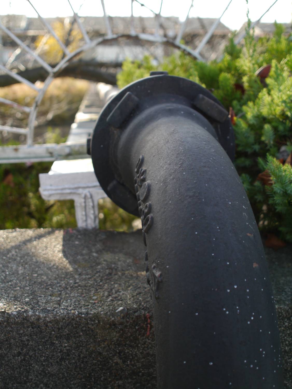 b0069128_8524091.jpg