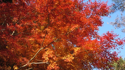 e0202031_22555613.jpg