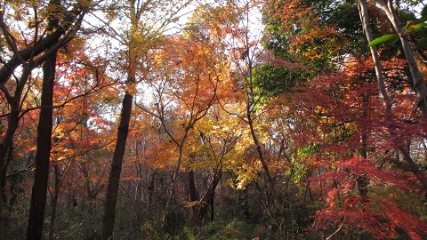 e0202031_2259814.jpg