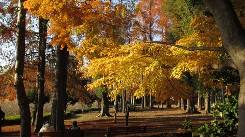 e0202031_2323975.jpg