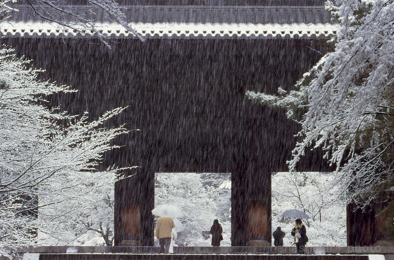 京都の雪風景_e0272231_5164933.jpg