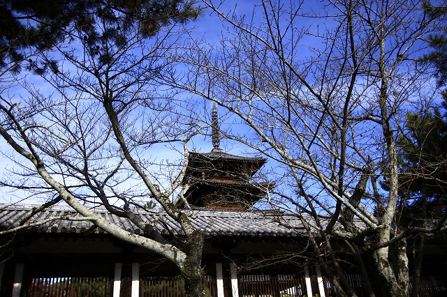 １２月２日　斑鳩　法隆寺_a0045932_16191247.jpg