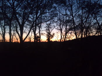 f0200036_22245836.jpg