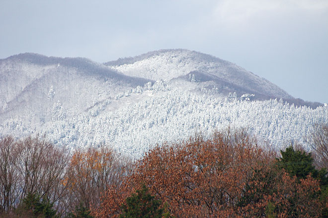 c0067040_23582619.jpg