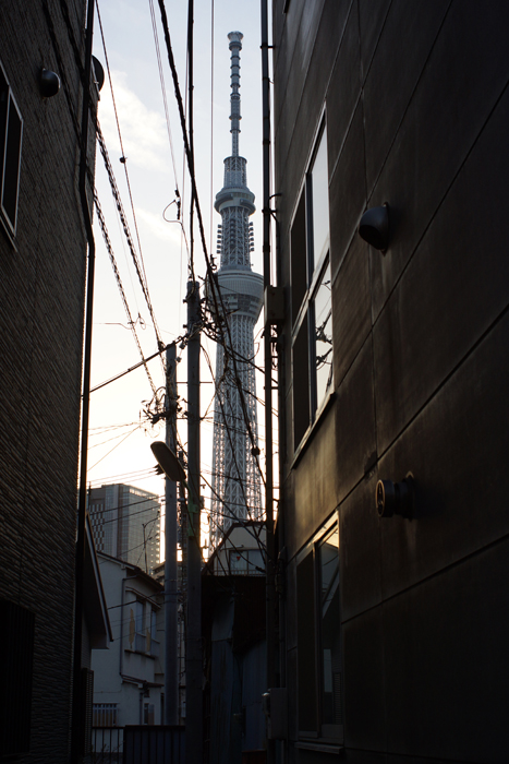 c0035245_244266.jpg