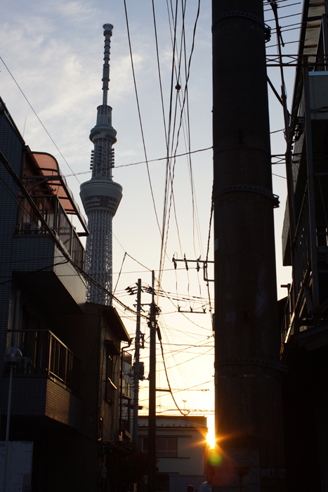 c0035245_284579.jpg