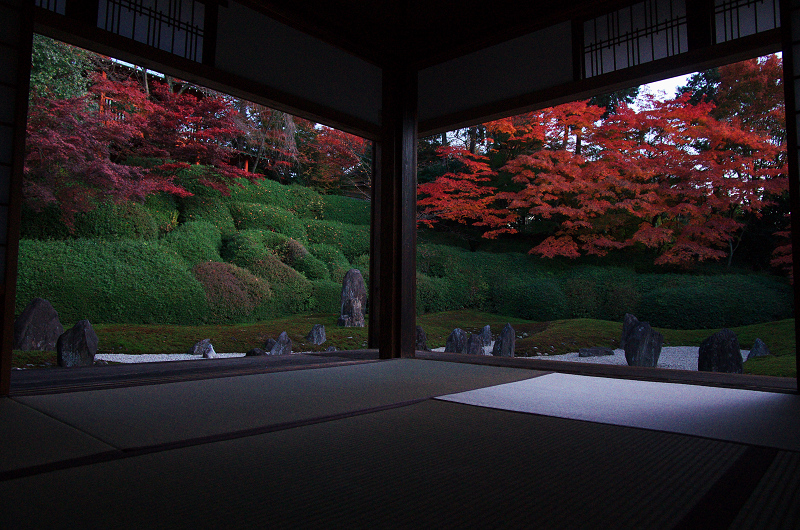 光明院・秋景色_f0155048_12133634.jpg