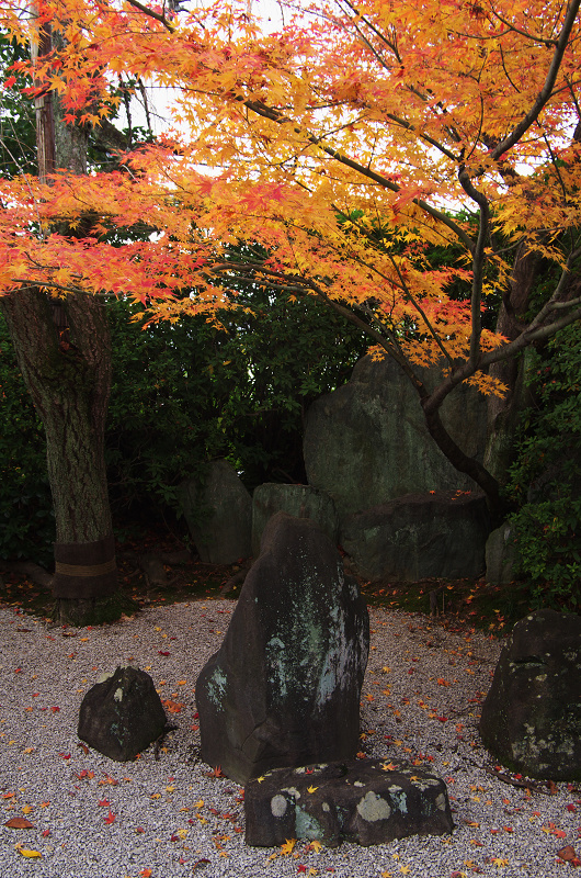 光明院・秋景色_f0155048_12173553.jpg