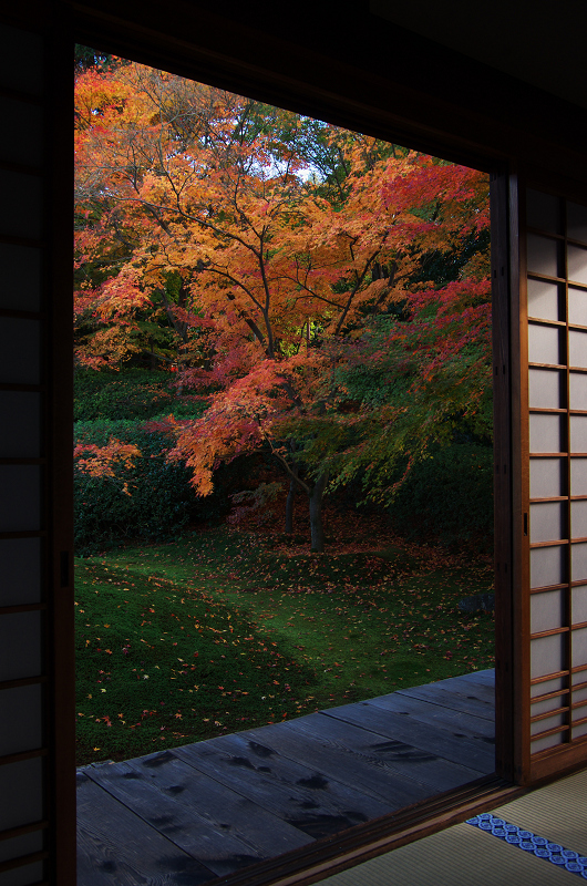 光明院・秋景色_f0155048_12233618.jpg