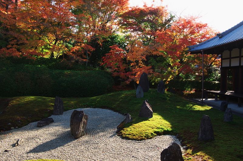 光明院・秋景色_f0155048_12264173.jpg