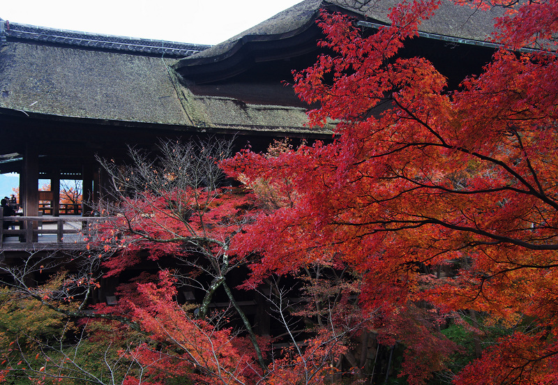 紅葉燃える清水寺_f0155048_12335857.jpg