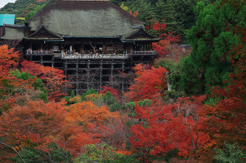 紅葉燃える清水寺_f0155048_1237431.jpg