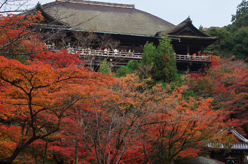 紅葉燃える清水寺_f0155048_12385665.jpg