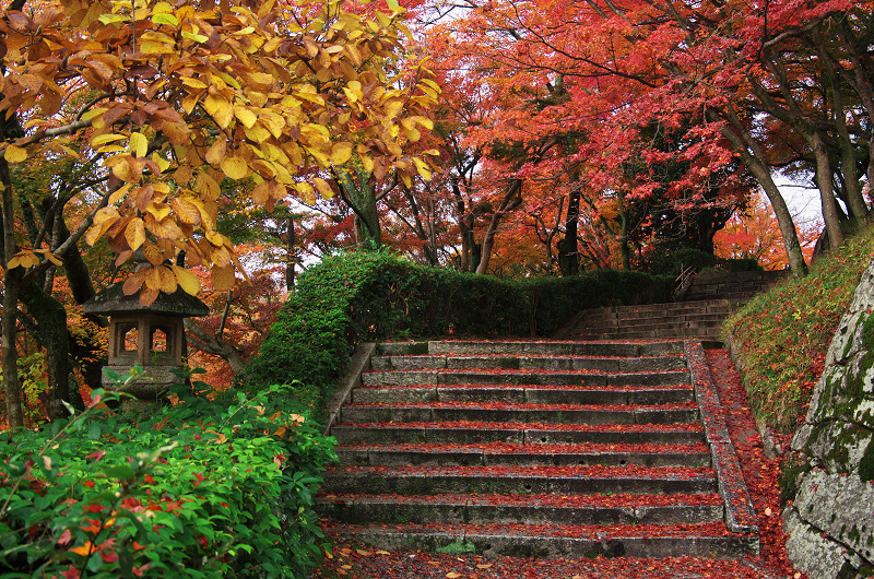 紅葉燃える清水寺_f0155048_12394997.jpg