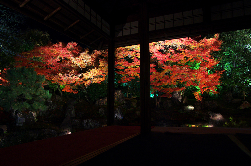 圓徳院・浮かび上がる紅葉_f0155048_13312248.jpg