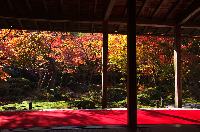 圓光寺・室内から紅葉のお庭を見る_f0155048_23324940.jpg