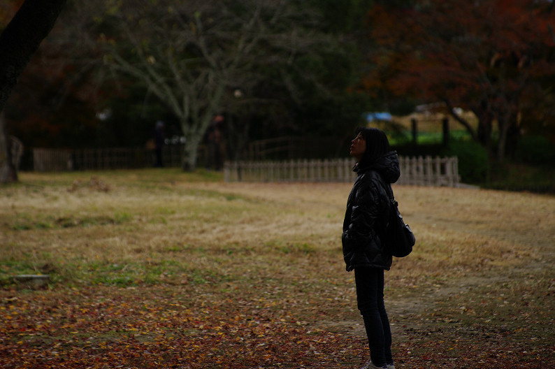 紅葉 2012　～大沢池～_f0152550_2110185.jpg