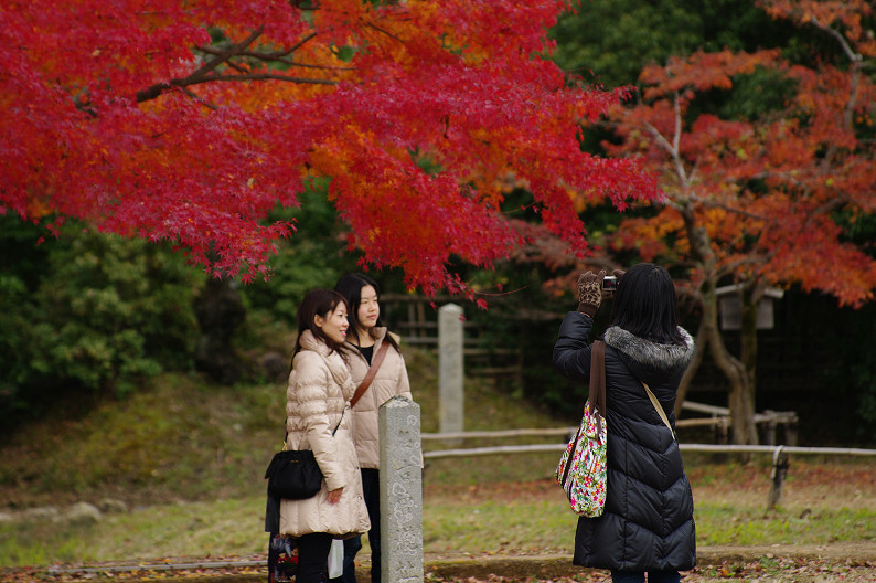 紅葉 2012　～大沢池～_f0152550_21102582.jpg