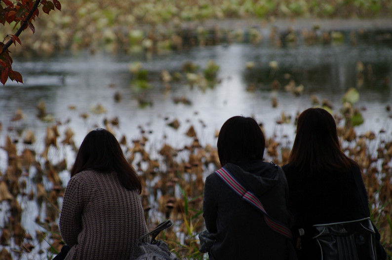 紅葉 2012　～大沢池～_f0152550_211497.jpg