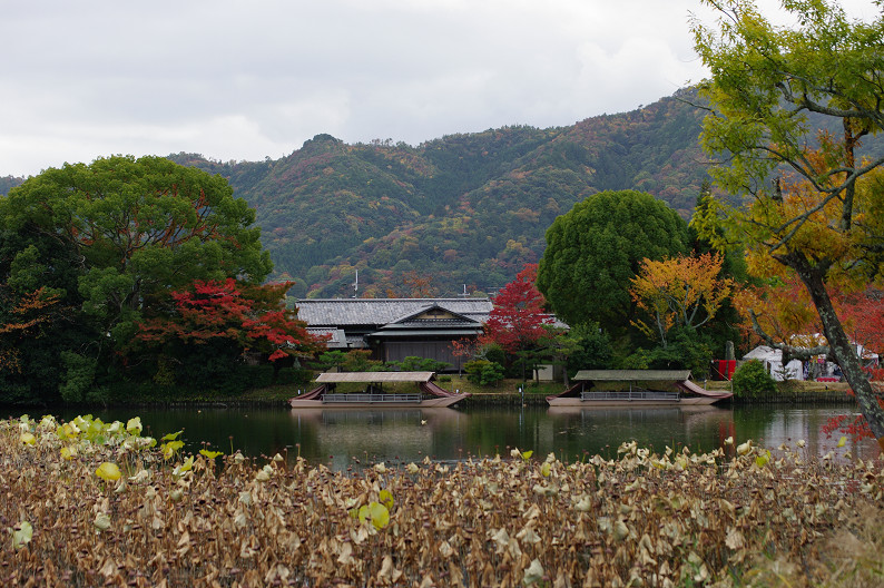 紅葉 2012　～大沢池～_f0152550_212170.jpg