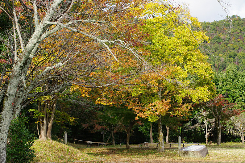 紅葉 2012　～大沢池～_f0152550_2125396.jpg