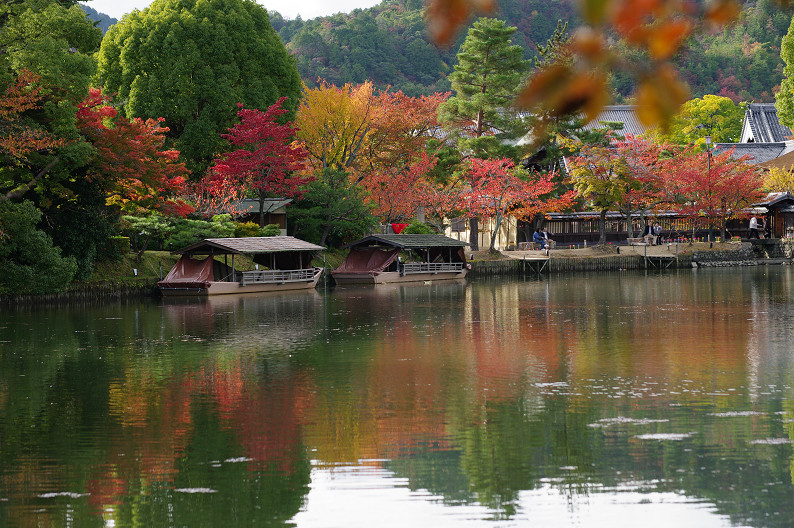 紅葉 2012　～大沢池～_f0152550_214458.jpg