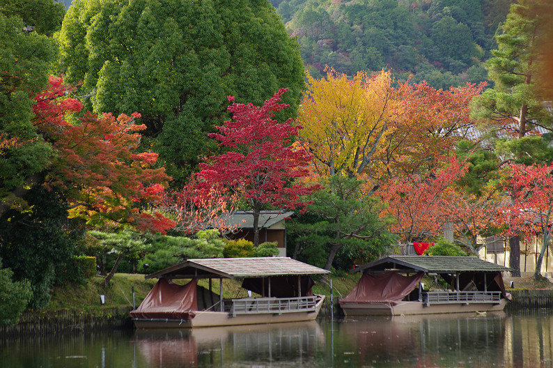 紅葉 2012　～大沢池～_f0152550_21503.jpg