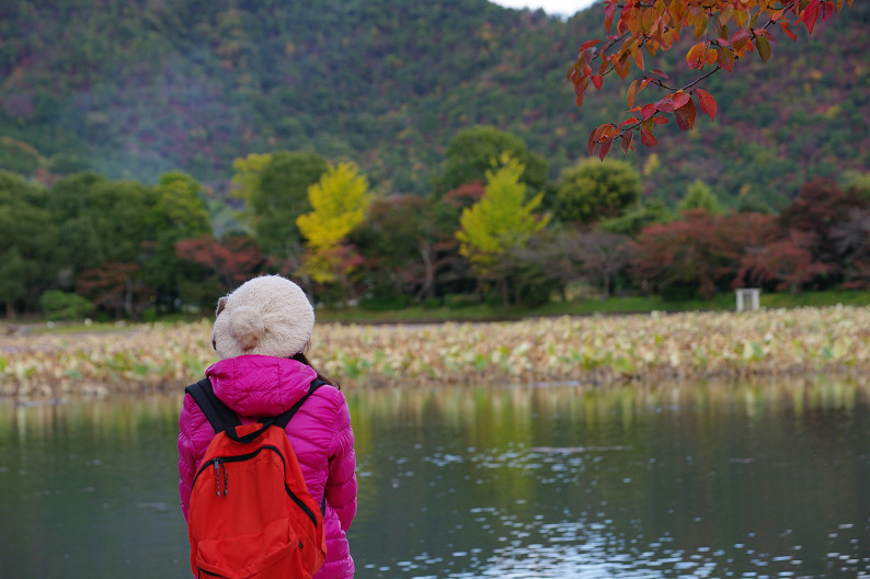 紅葉 2012　～大沢池～_f0152550_2151930.jpg