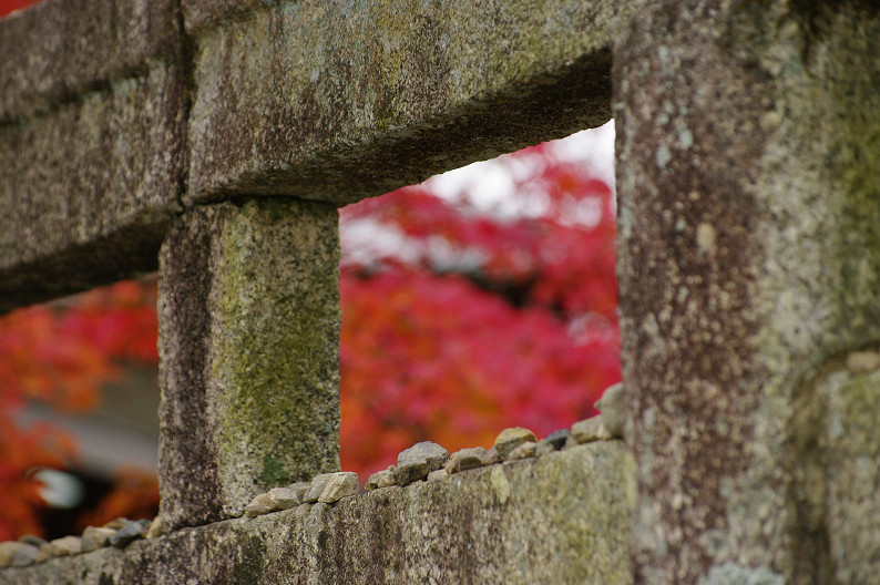 紅葉 2012　～大沢池～_f0152550_2191582.jpg