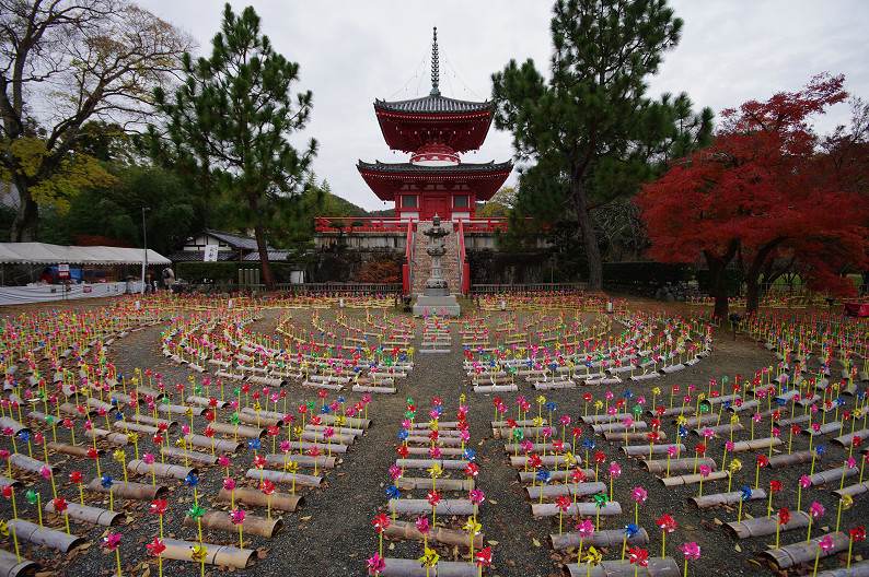 紅葉 2012　～大沢池～_f0152550_2192985.jpg