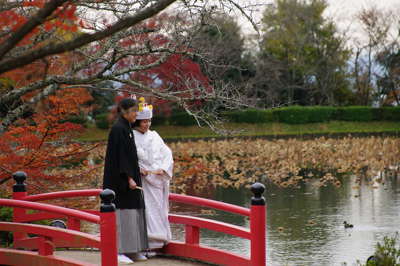 紅葉 2012　～大沢池～_f0152550_2194048.jpg