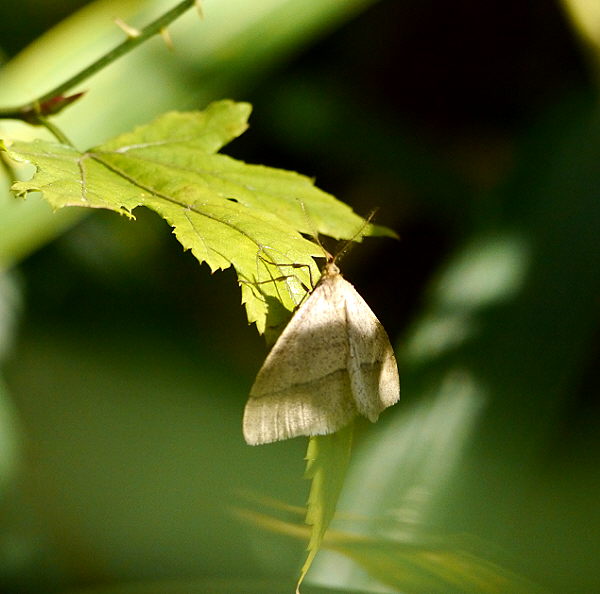 d0091754_1383670.jpg