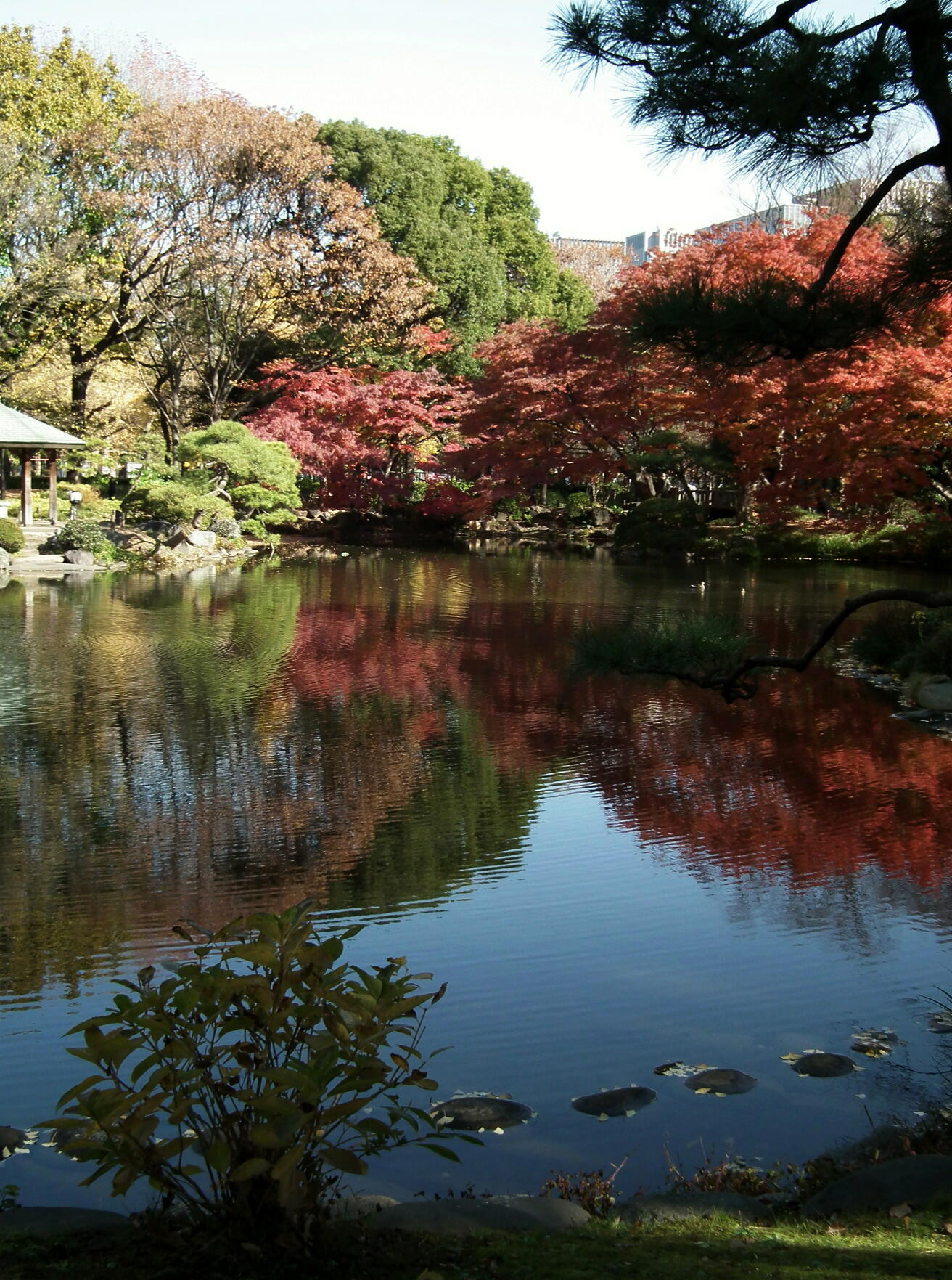 公園でちょっとだけ…タイムリミットは５分間！？_e0064158_2252275.jpg